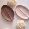 Tray LEAF