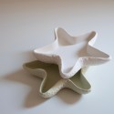 Tray SEA STAR